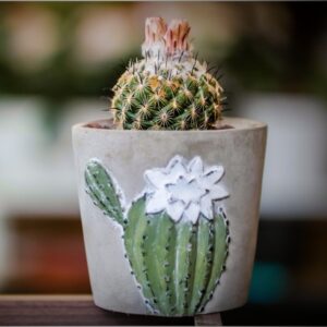 What sells in antique malls - cactus mug